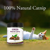 Ash and Anthem Natural Silvervine Catnip Blend