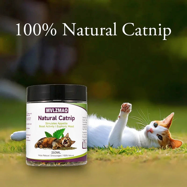 Ash and Anthem Natural Silvervine Catnip Blend