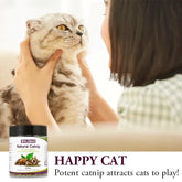 Ash and Anthem Natural Silvervine Catnip Blend