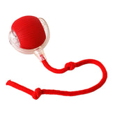 Ash and Anthem Automatic Rolling Cat Ball Toy