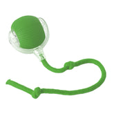 Ash and Anthem Automatic Rolling Cat Ball Toy