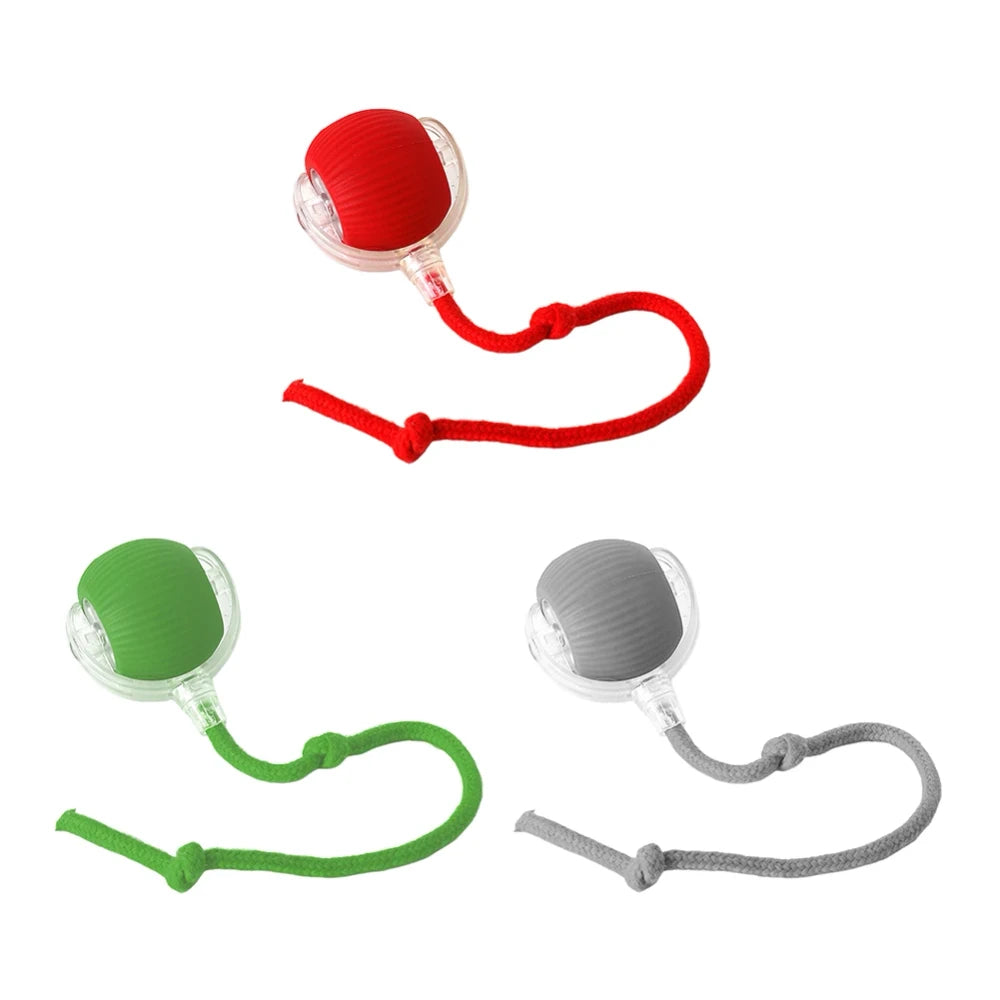 Ash and Anthem Automatic Rolling Cat Ball Toy