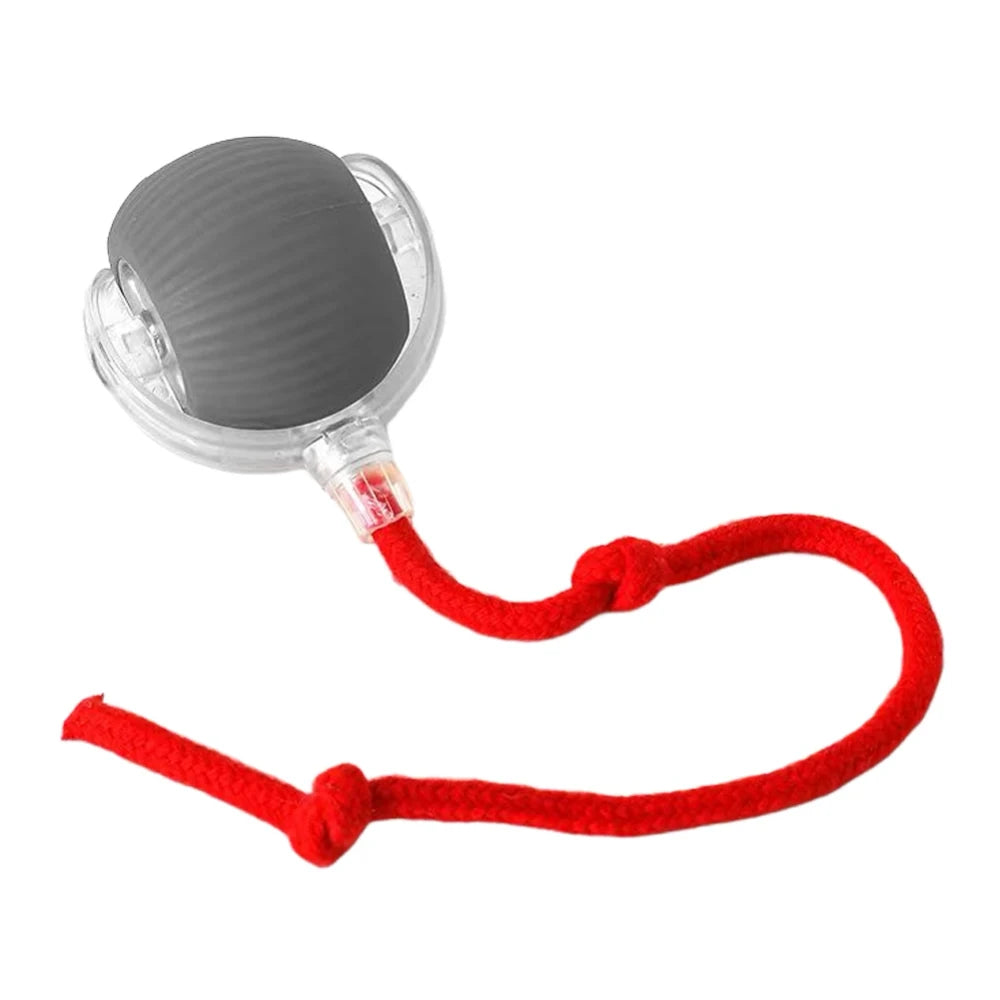 Ash and Anthem Automatic Rolling Cat Ball Toy