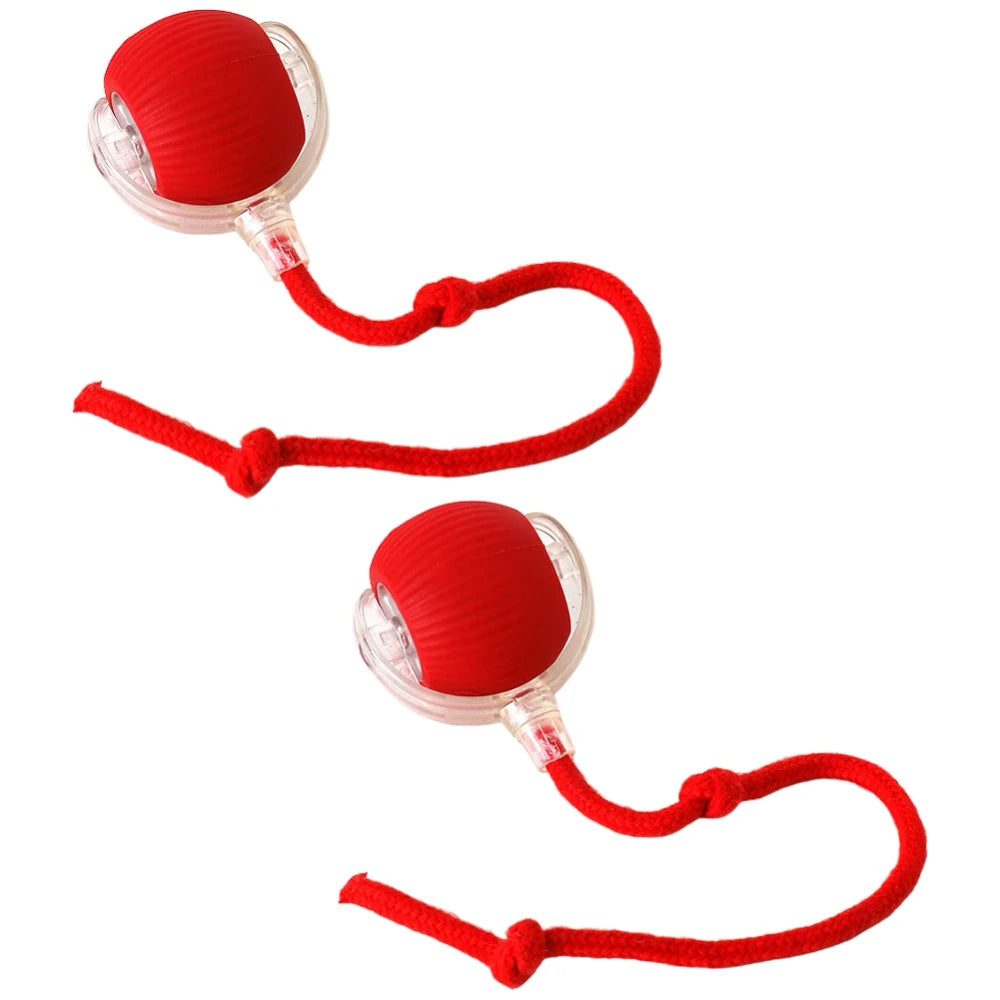 Ash and Anthem Automatic Rolling Cat Ball Toy
