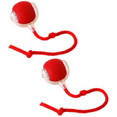 Ash and Anthem Automatic Rolling Cat Ball Toy