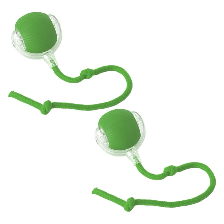 Ash and Anthem Automatic Rolling Cat Ball Toy