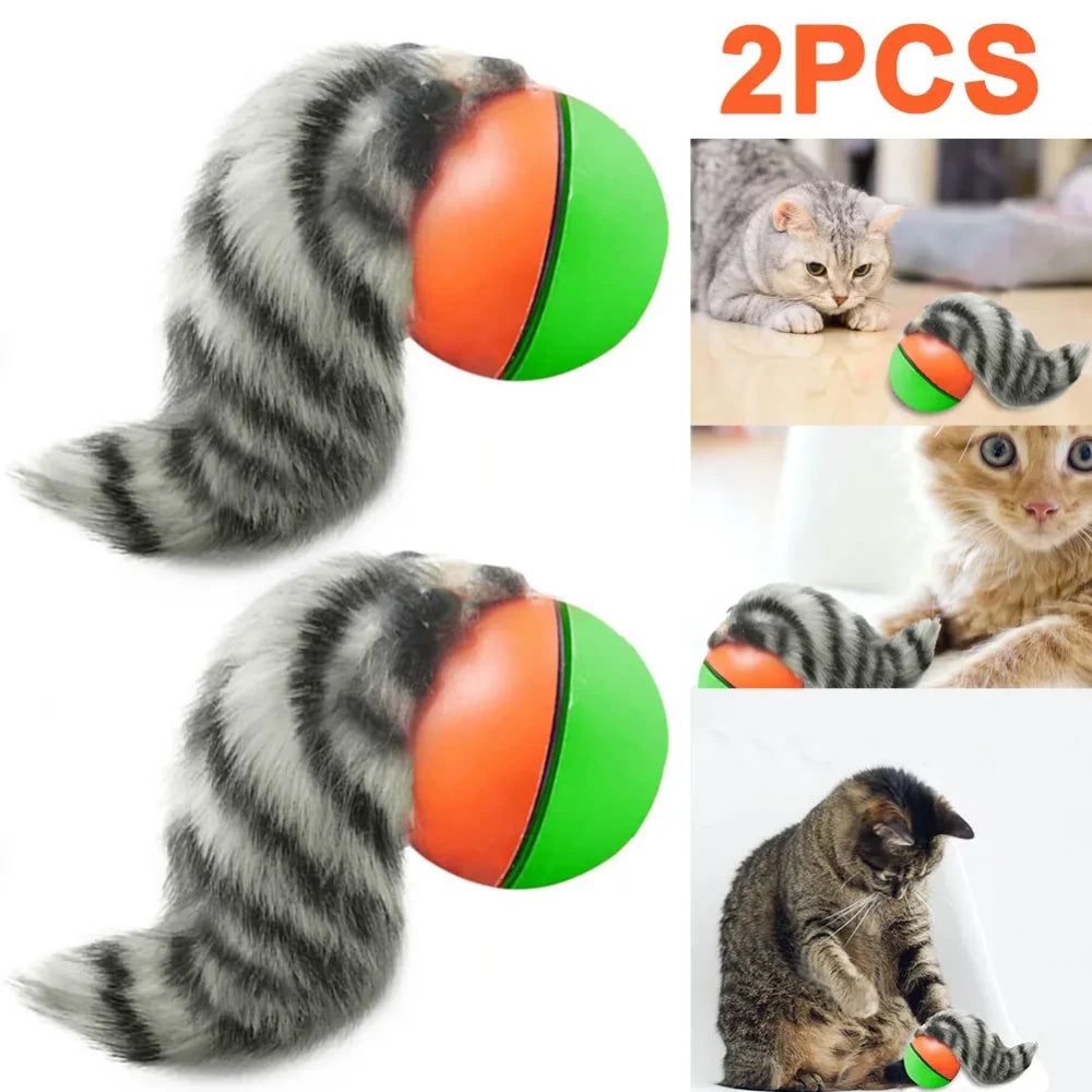 Ash and Anthem Automatic Rolling Cat Ball Toy