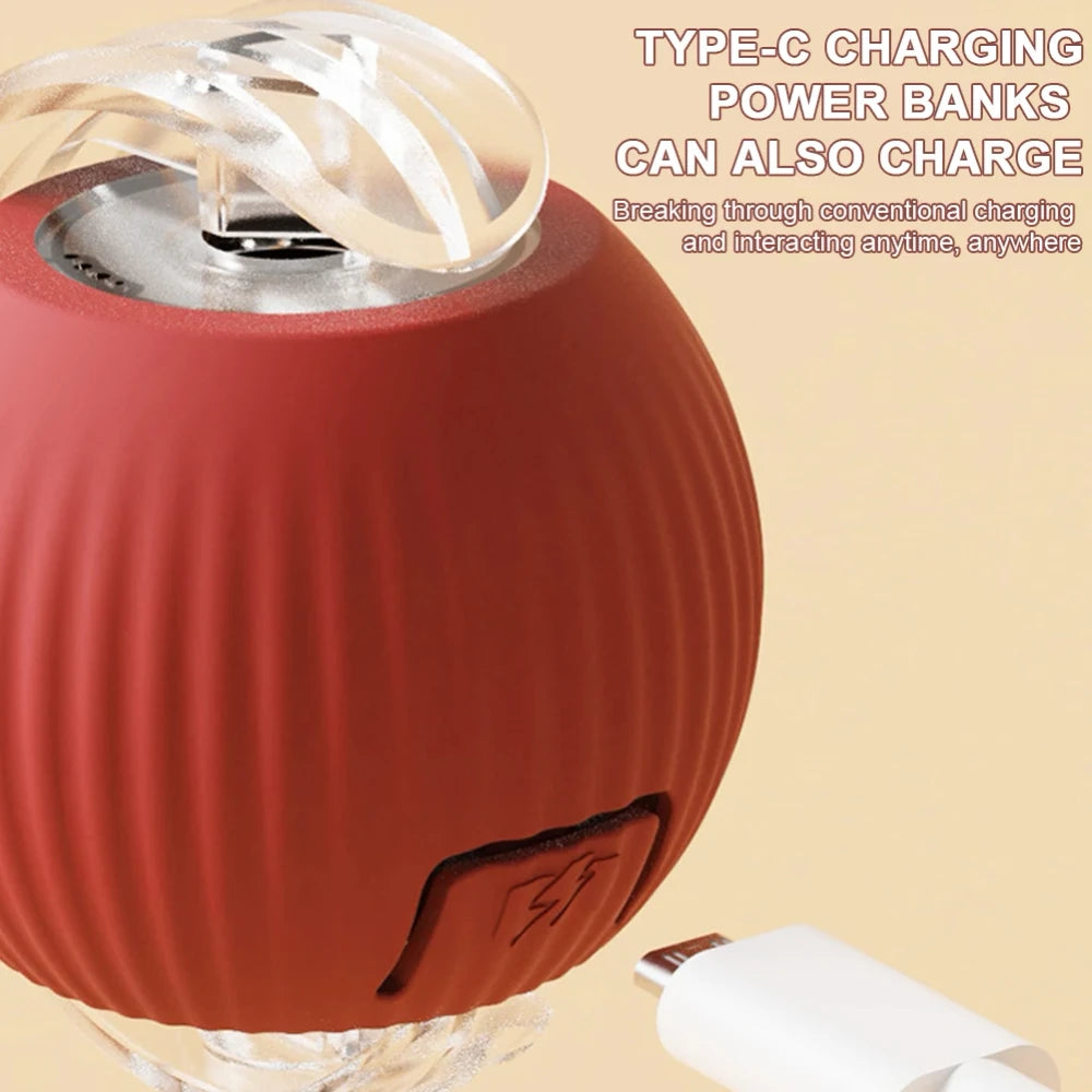 Ash and Anthem Automatic Rolling Cat Ball Toy