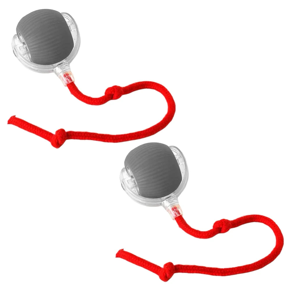 Ash and Anthem Automatic Rolling Cat Ball Toy