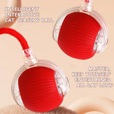 Ash and Anthem Automatic Rolling Cat Ball Toy
