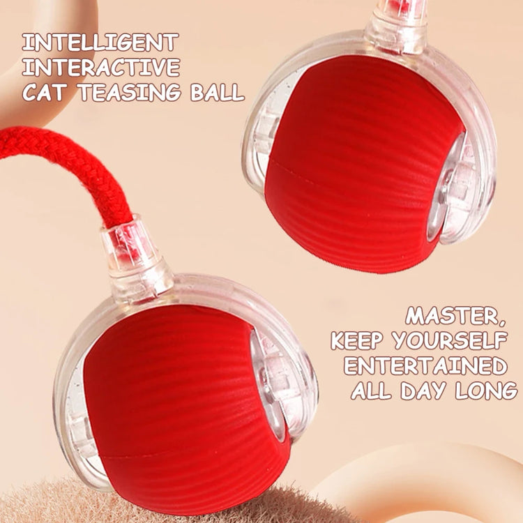 Ash and Anthem Automatic Rolling Cat Ball Toy