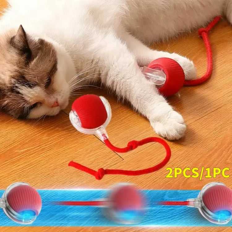 Ash and Anthem Automatic Rolling Cat Ball Toy