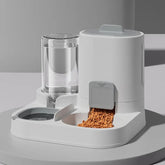 Ash and Anthem Gravity Cat Water Dispenser