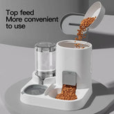 Ash and Anthem Gravity Cat Water Dispenser