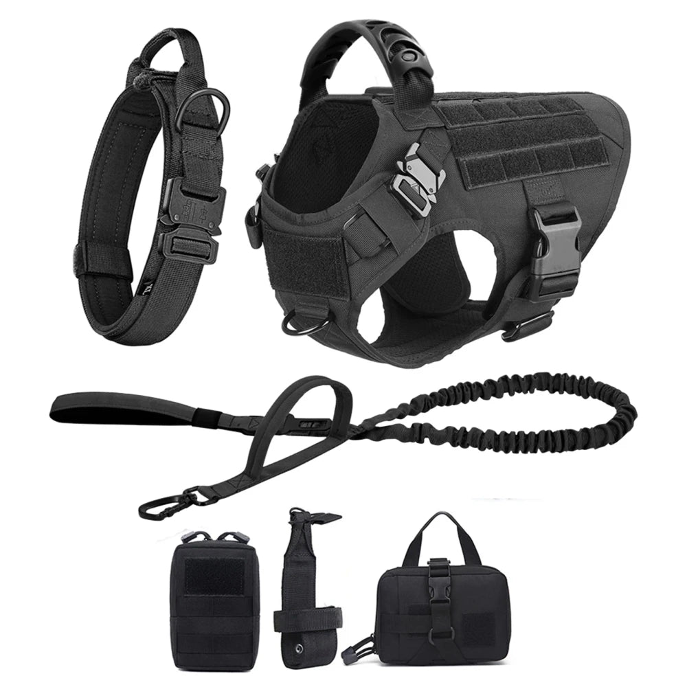 Ash and Anthem Training Harness and Leash Set