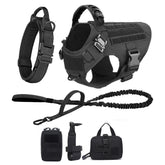 Ash and Anthem Training Harness and Leash Set