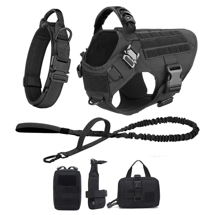 Ash and Anthem Training Harness and Leash Set