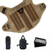 Ash and Anthem Training Harness and Leash Set