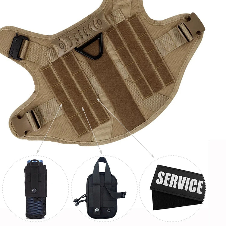 Ash and Anthem Training Harness and Leash Set