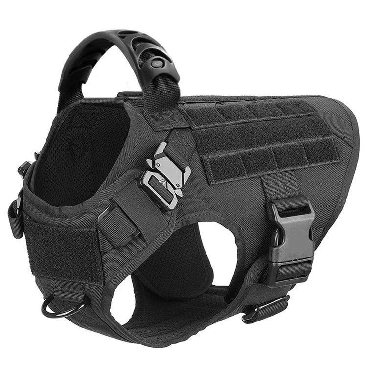Ash and Anthem Training Harness and Leash Set