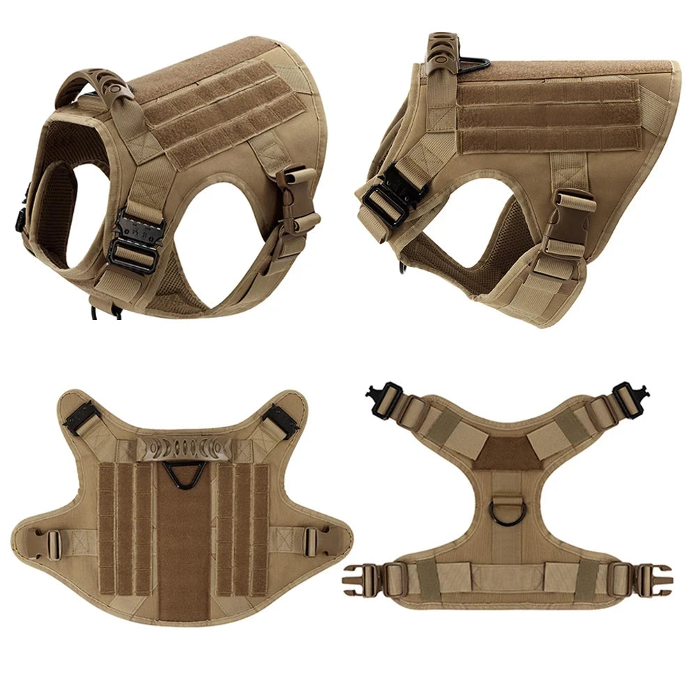 Ash and Anthem Training Harness and Leash Set