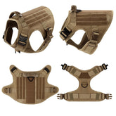 Ash and Anthem Training Harness and Leash Set