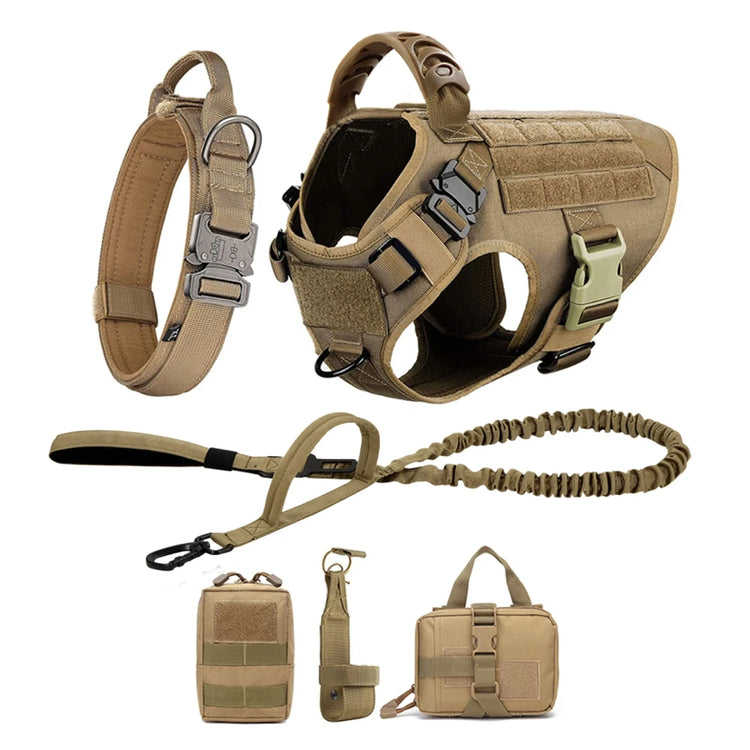Ash and Anthem Training Harness and Leash Set