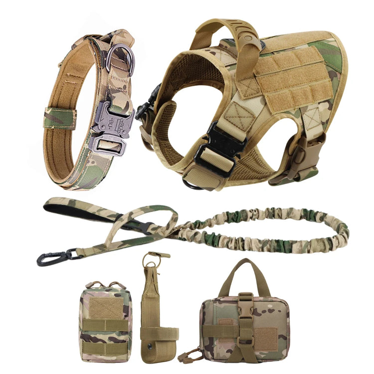 Ash and Anthem Training Harness and Leash Set