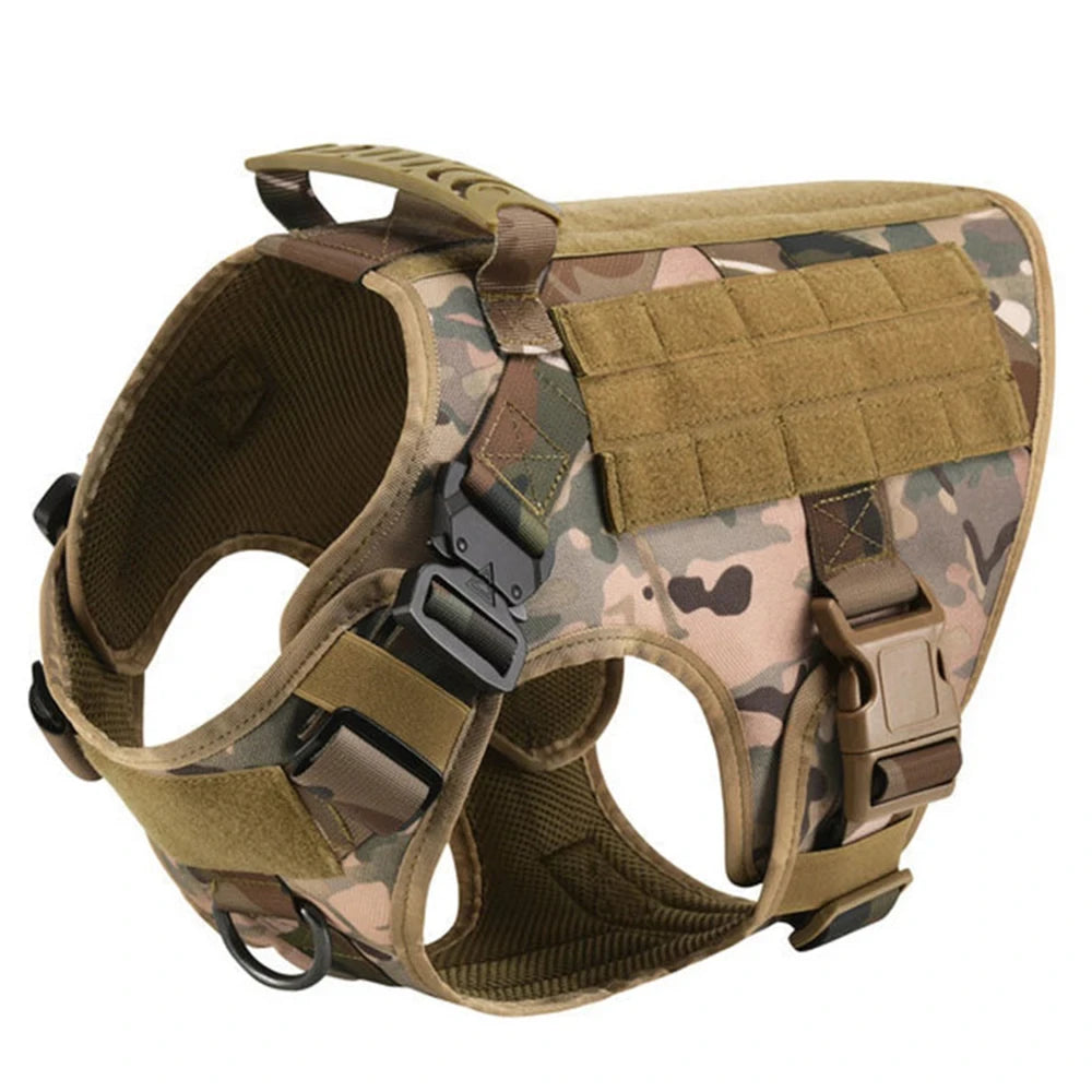 Ash and Anthem Training Harness and Leash Set