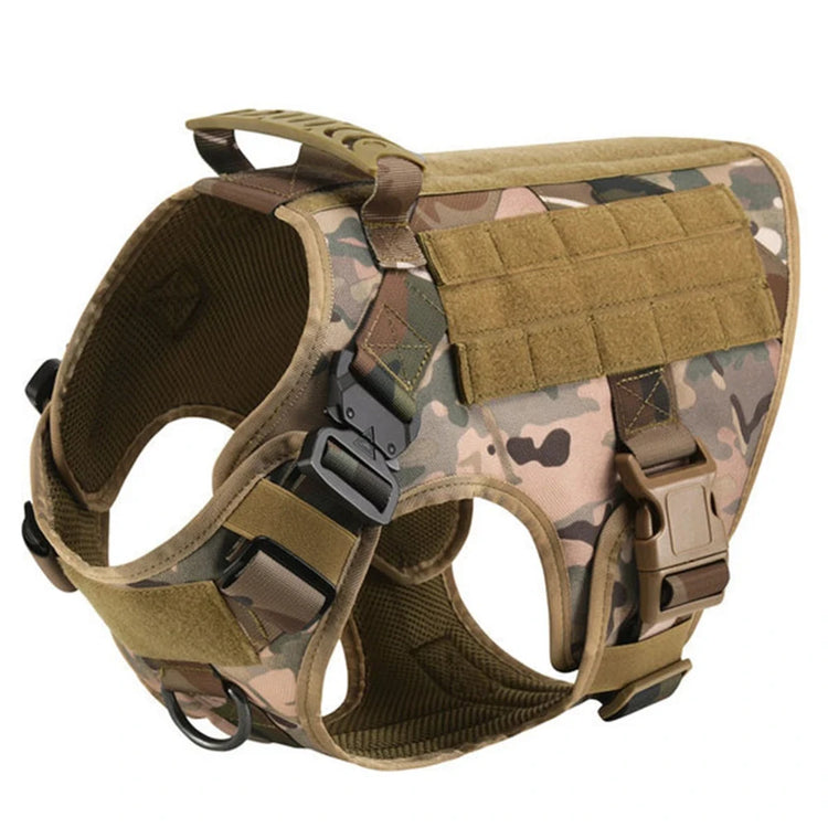 Ash and Anthem Training Harness and Leash Set