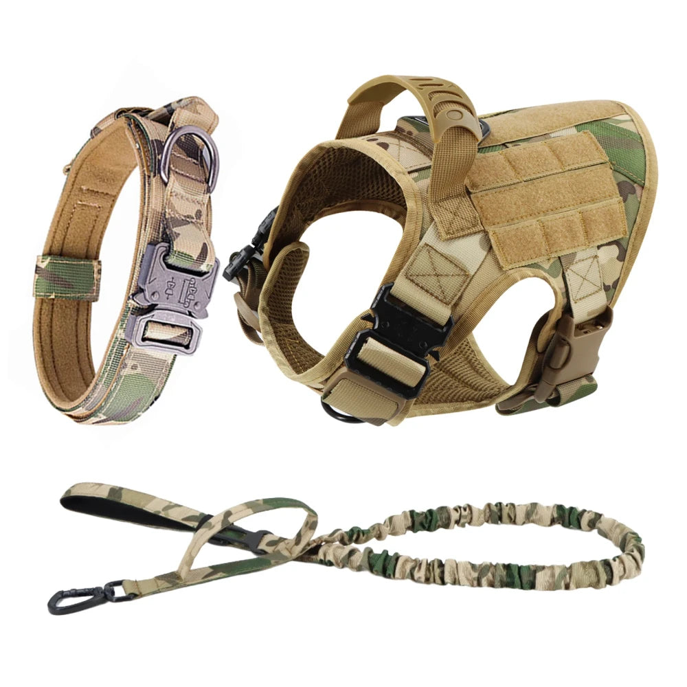 Ash and Anthem Training Harness and Leash Set