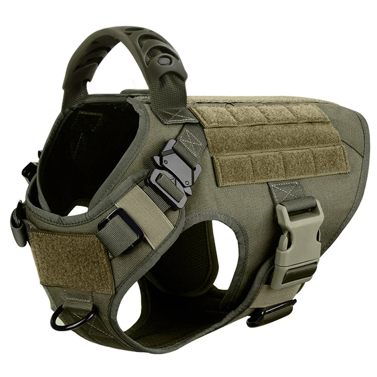 Ash and Anthem Training Harness and Leash Set