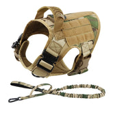 Ash and Anthem Training Harness and Leash Set