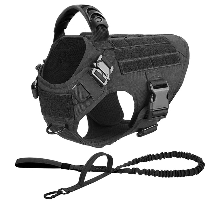 Ash and Anthem Training Harness and Leash Set