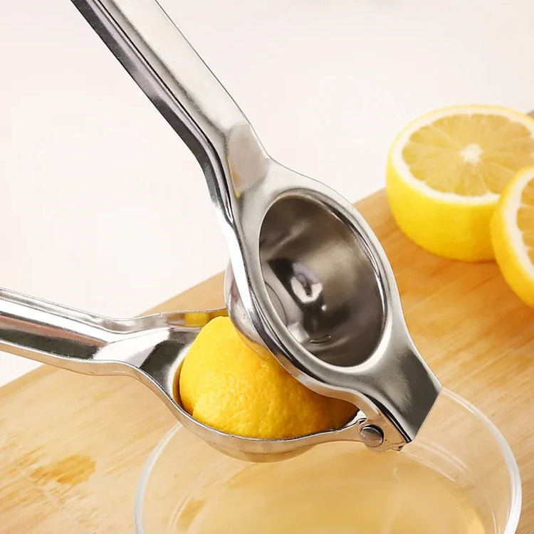 Ash and Anthem Stainless Steel Citrus PressAsh  and ANTHEM