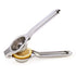Ash and Anthem Stainless Steel Citrus PressAsh  and ANTHEM