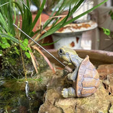 Ash and Anthem Rope Fishing Turtle Garden StatueAsh  and ANTHEM