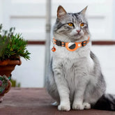 Ash and Anthem Reflective AirTag Cat CollarAsh  and ANTHEM