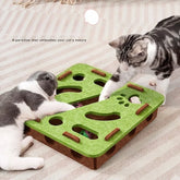 Ash and Anthem Interactive Felt Cat Puzzle BoxAsh  and ANTHEM