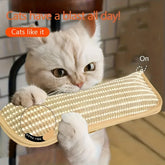 Ash and Anthem Interactive Cat Toy & ScratcherAsh  and ANTHEM