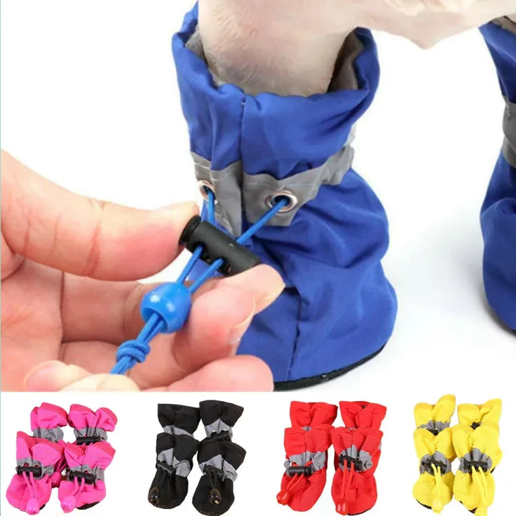 Ash  and ANTHEM Waterproof Pet Rain Boots