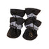 Ash  and ANTHEM Waterproof Pet Rain Boots