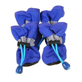 Ash  and ANTHEM Waterproof Pet Rain Boots