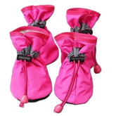 Ash  and ANTHEM Waterproof Pet Rain Boots