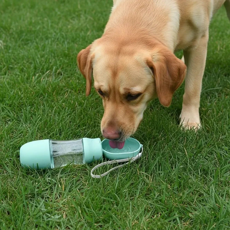 Ash and Anthem Portable Leak-Proof Dog Water Bottle