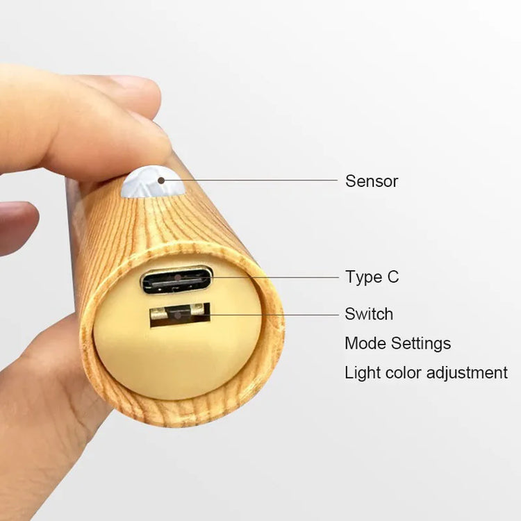 Ash and Anthem Motion Sensor LED Wall Light