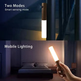Ash and ANTHEM Smart Motion Sensor Night Light LED Rechargeable 