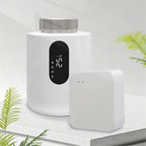 Ash and Anthem: Zigbee Smart Gateway for Your Home