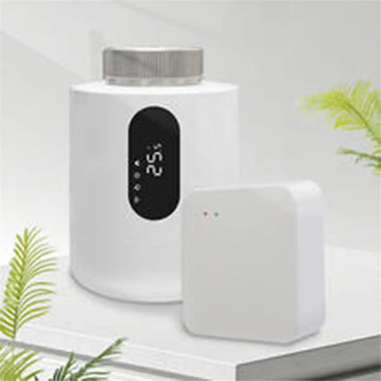 Ash and Anthem: Zigbee Smart Gateway for Your Home