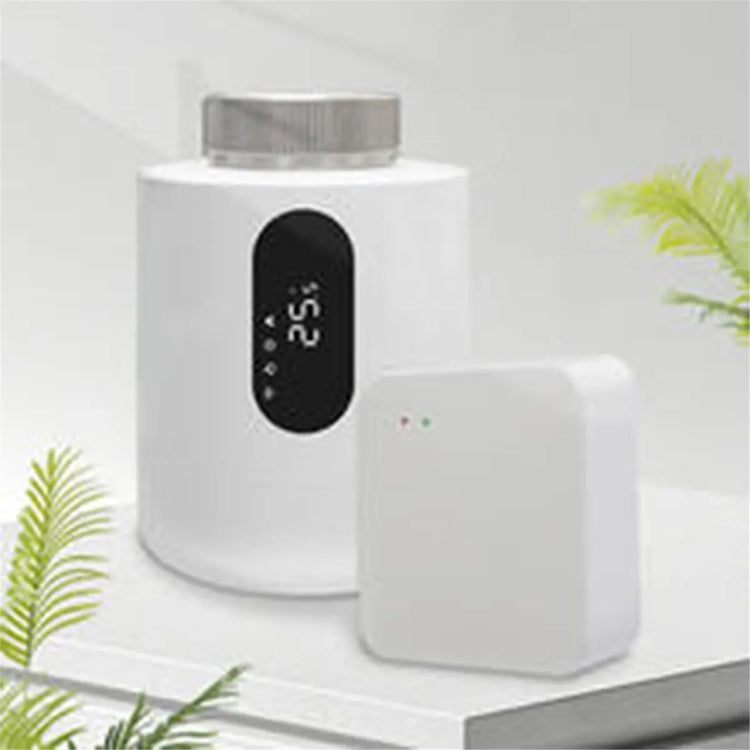 Ash and Anthem: Zigbee Smart Gateway for Your Home